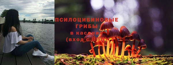 героин Горняк