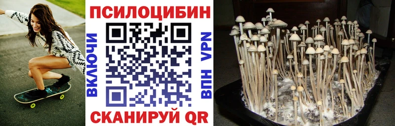 Купить закладки  Терек  Галлюциногенные грибы Magic Shrooms 